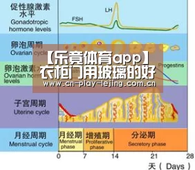 乐竟体育官网