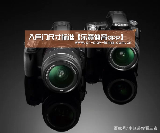 入户门尺寸标准【乐竟体育app】(图3) 乐竟体育官网
